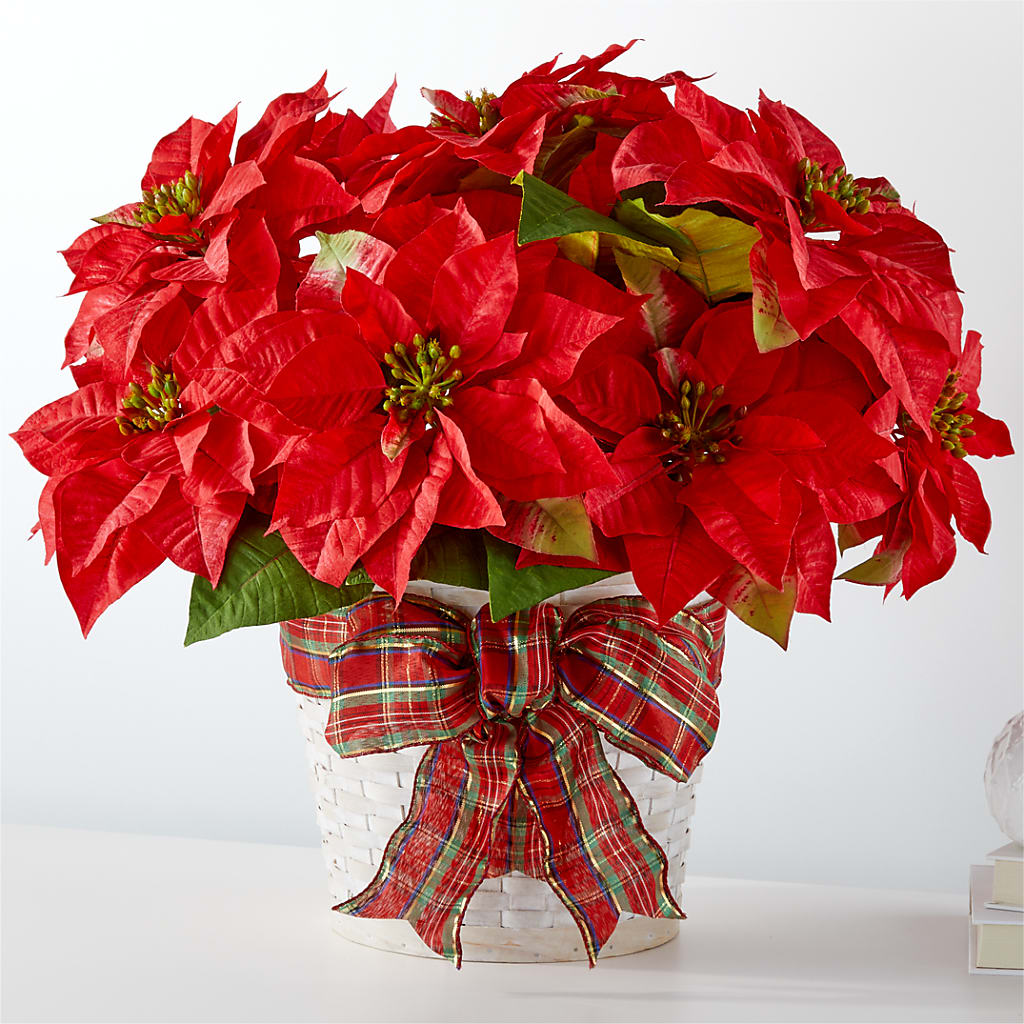 Happiest Holidays Poinsettia – More Than Flowers, Jackson MS