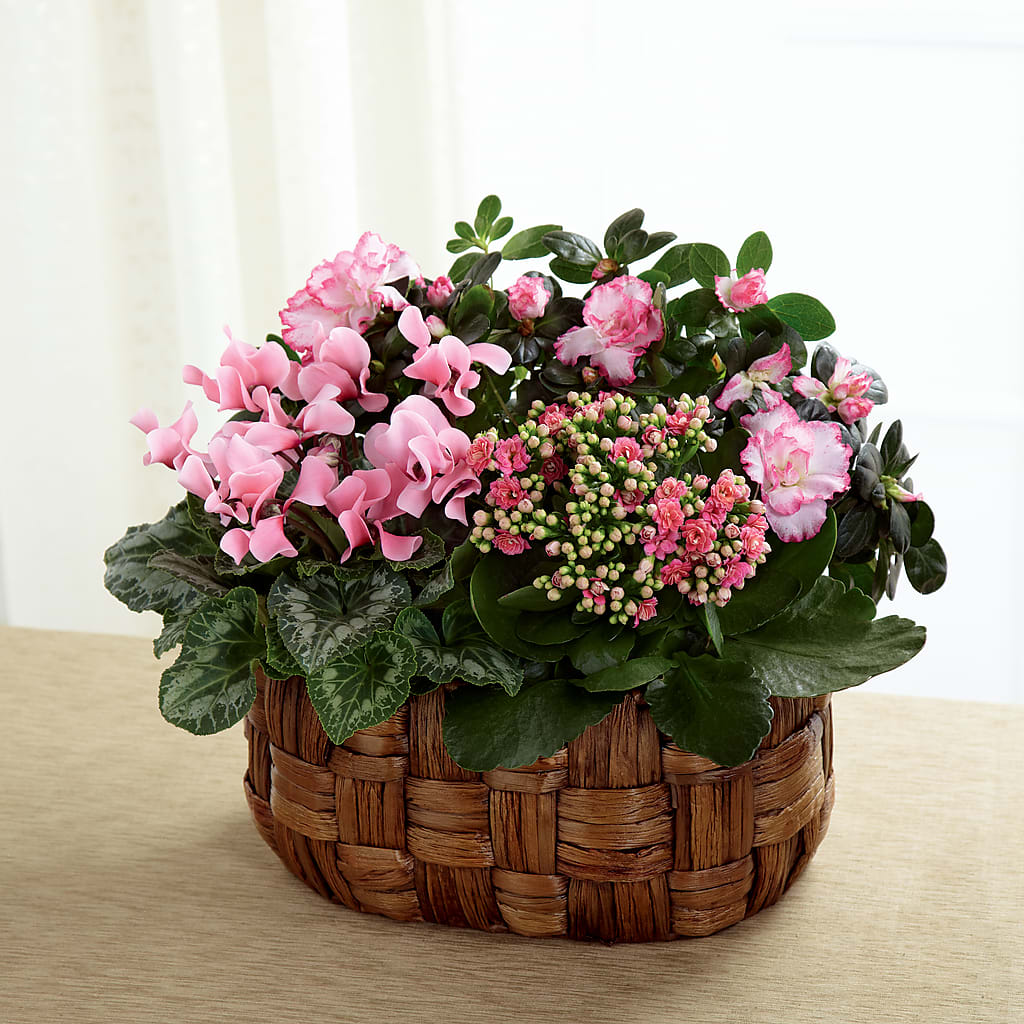 Pink Assortment – More Than Flowers, Jackson MS