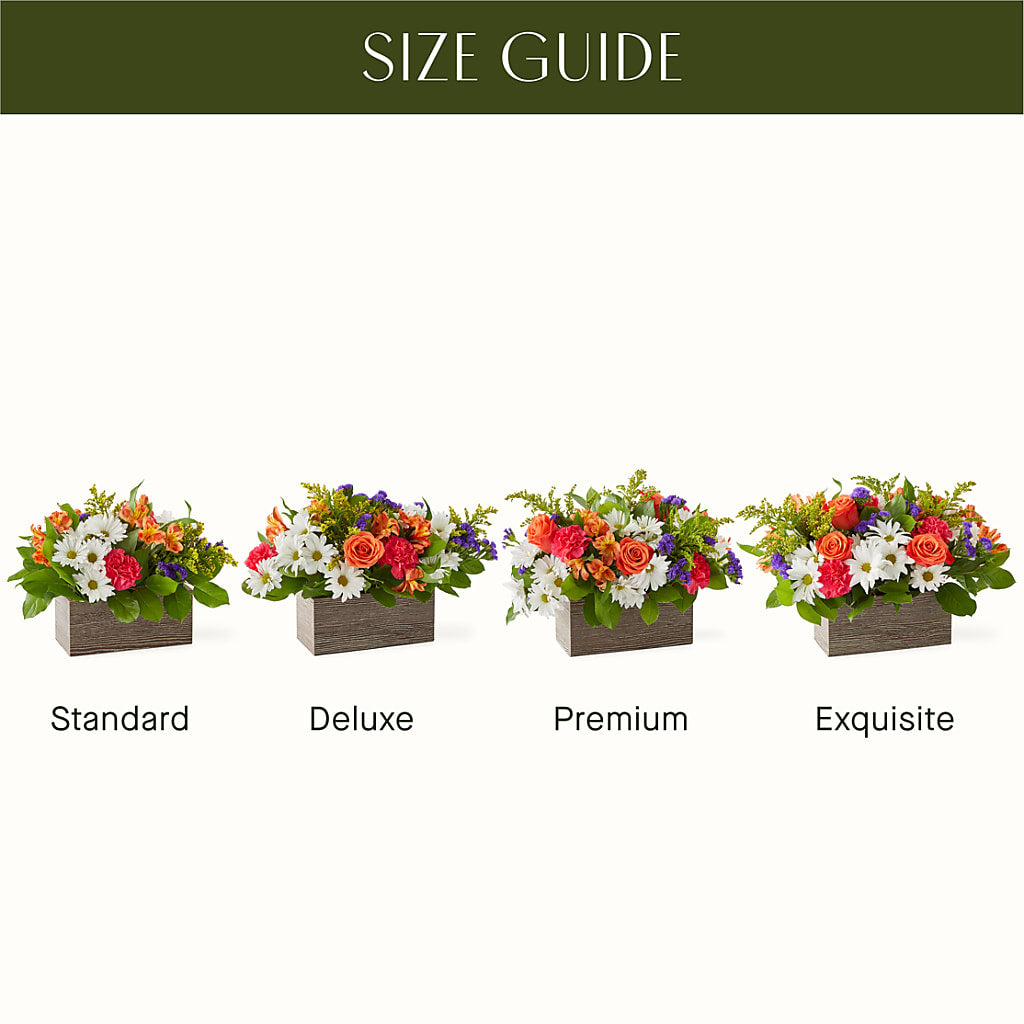 Oopsie Daisy Box Bouquet – More Than Flowers, Jackson MS
