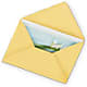 Greeting Card – More Than Flowers, Jackson MS