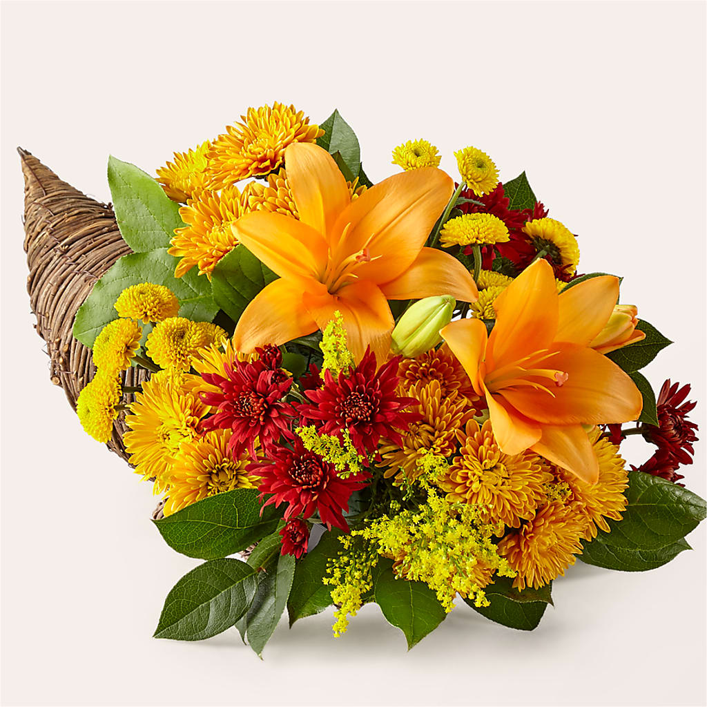 Feast of Color Cornucopia – More Than Flowers, Jackson MS