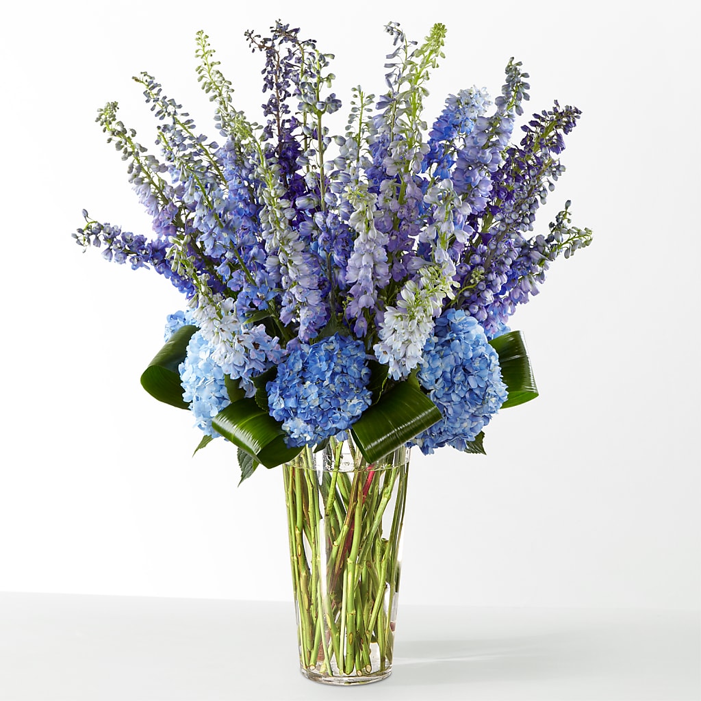 The Editorial – More Than Flowers, Jackson MS