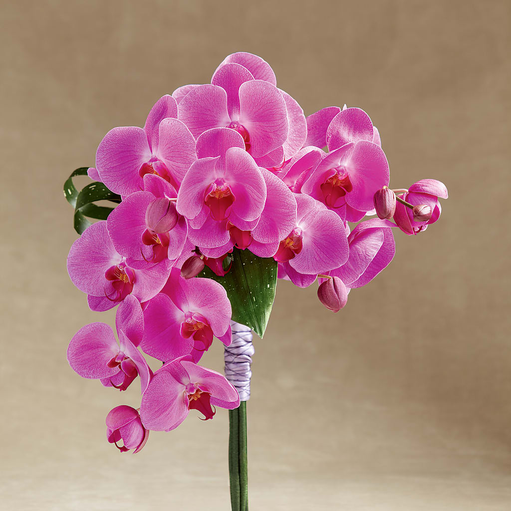 Glorious Bouquet – More Than Flowers, Jackson MS