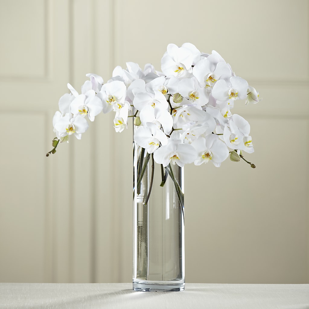 White Phalaenopsis Bouquet – More Than Flowers, Jackson MS