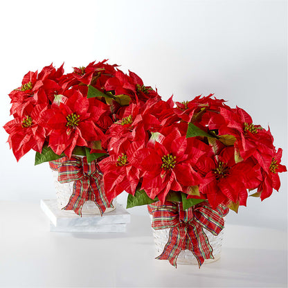 Happiest Holidays Poinsettia Bundle –  More Than Flowers, Jackson MS