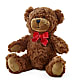 Adorable Plush Bear –  More Than Flowers, Jackson MS