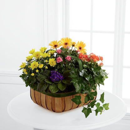 Gentle Blossoms Basket –  More Than Flowers, Jackson MS