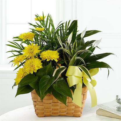 Loving Light Dishgarden –  More Than Flowers, Jackson MS