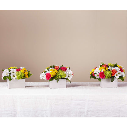 Sorbet Bouquet –  More Than Flowers, Jackson MS