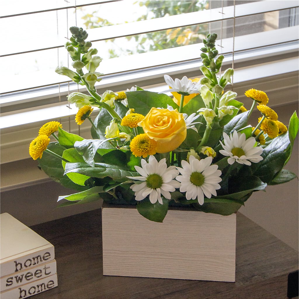 Sun Salutation Box Bouquet –  More Than Flowers, Jackson MS