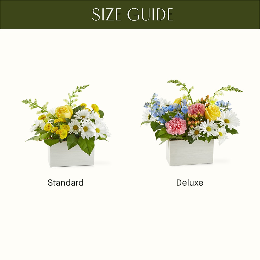 Sun Salutation Box Bouquet –  More Than Flowers, Jackson MS