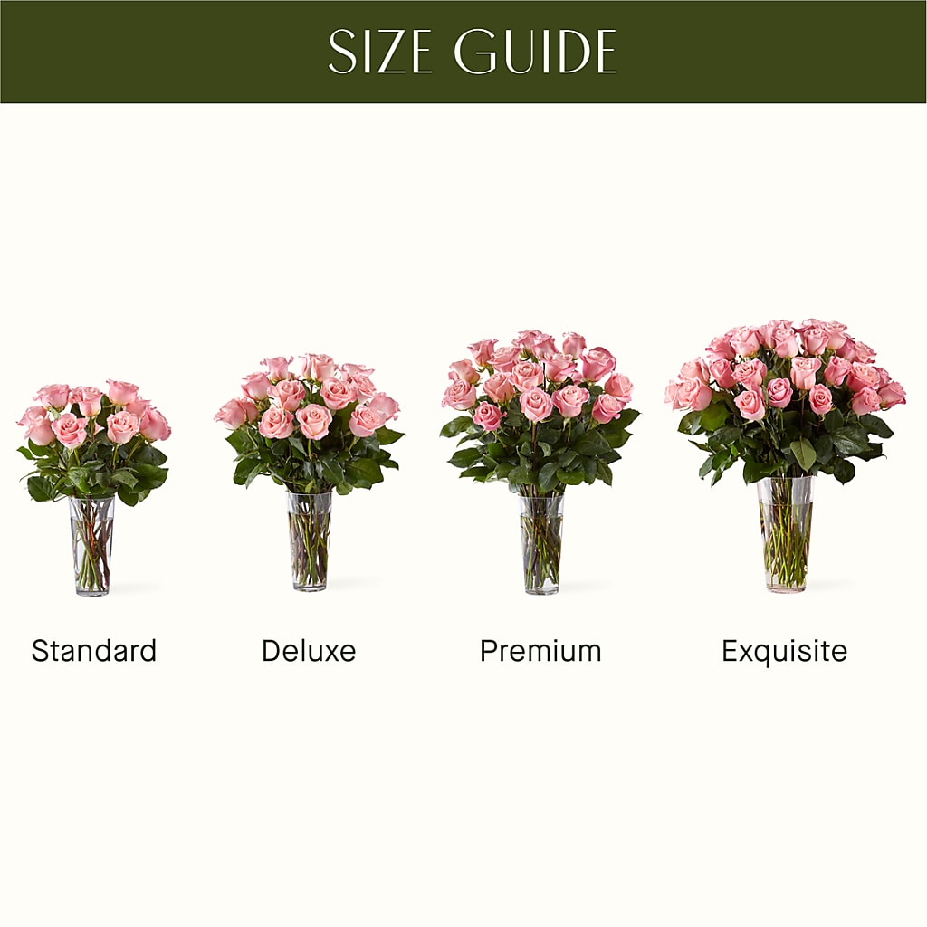 Long Stem Pink Rose Bouquet –  More Than Flowers, Jackson MS