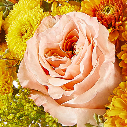Peachy Pumpkin –  More Than Flowers, Jackson MS
