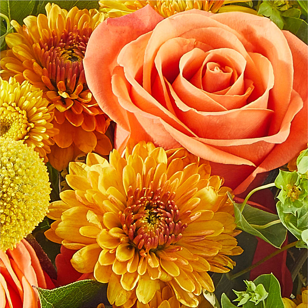 Gourdgeous Pumpkin –  More Than Flowers, Jackson MS