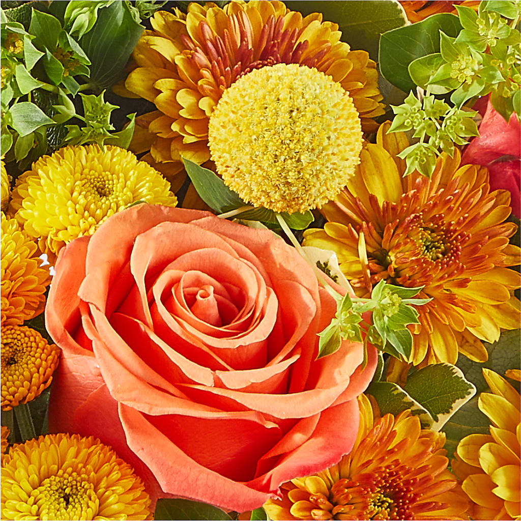 Gourdgeous Pumpkin –  More Than Flowers, Jackson MS