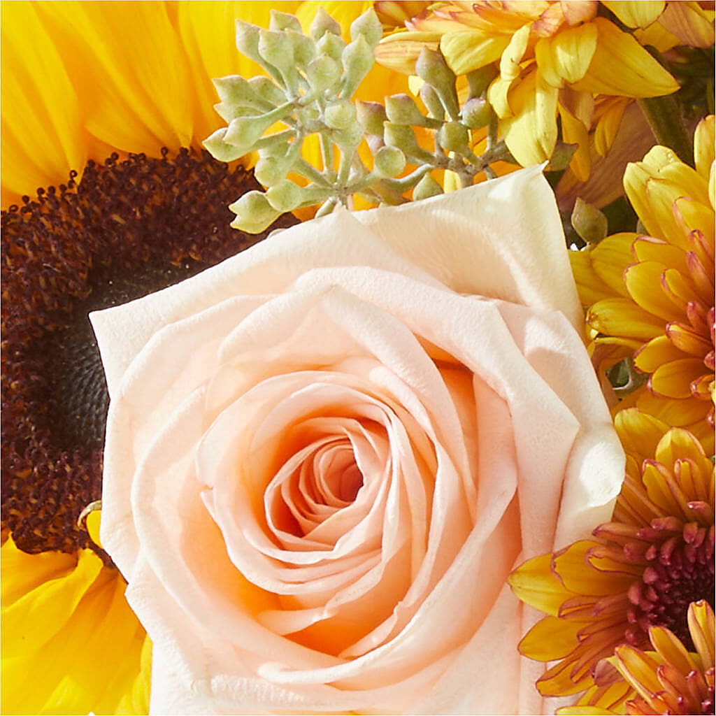 Pumpkin to Talk About Bouquet –  More Than Flowers, Jackson MS