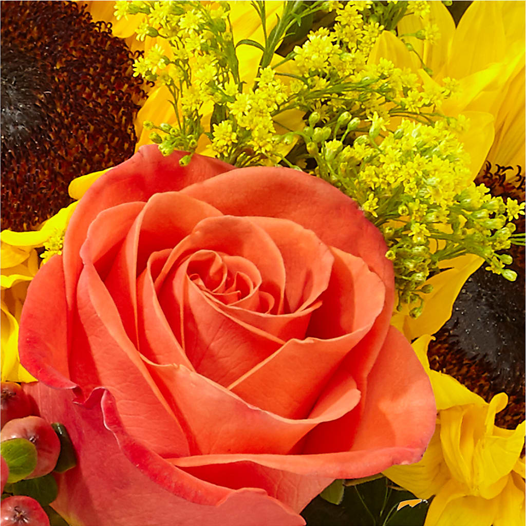 Pick of the Patch Pumpkin Bouquet –  More Than Flowers, Jackson MS