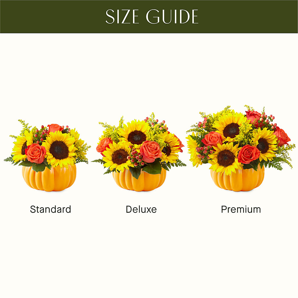 Pick of the Patch Pumpkin Bouquet –  More Than Flowers, Jackson MS
