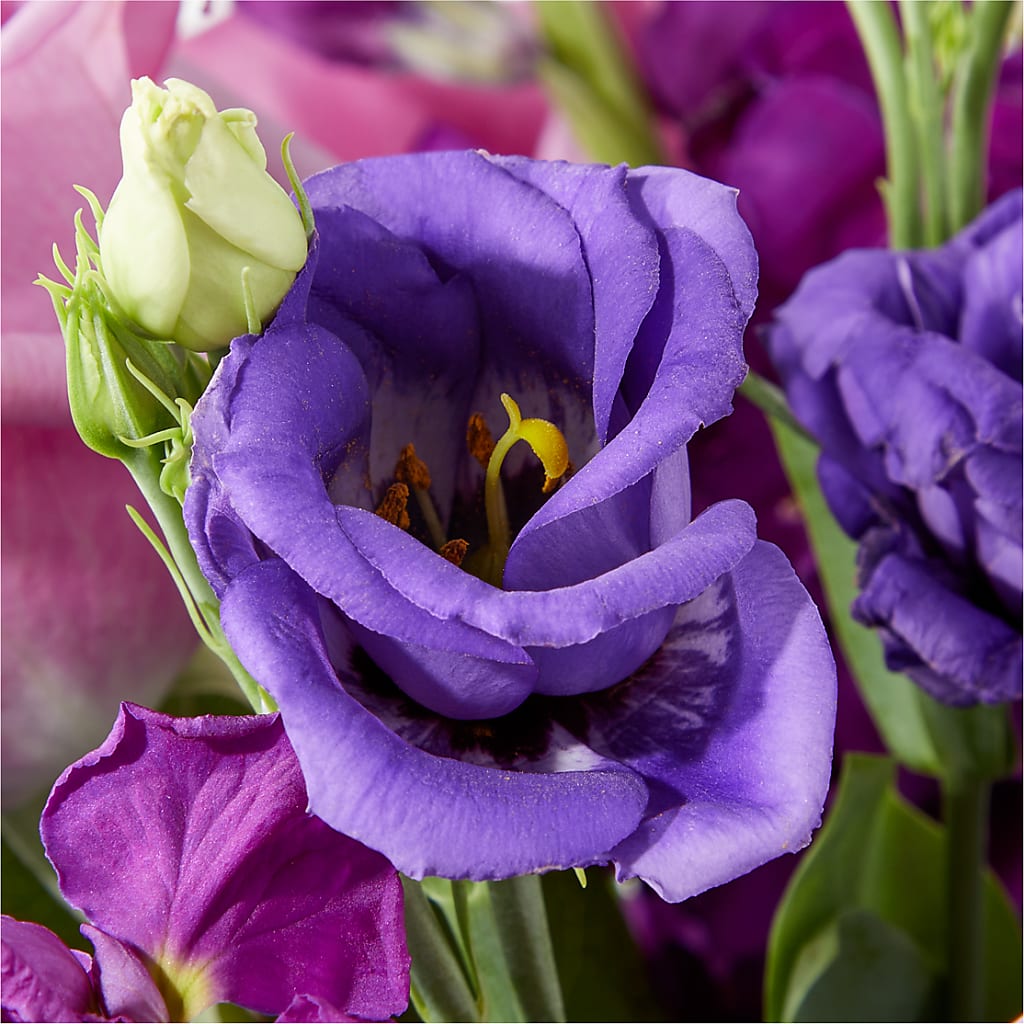 Twilight Glow Bouquet –  More Than Flowers, Jackson MS
