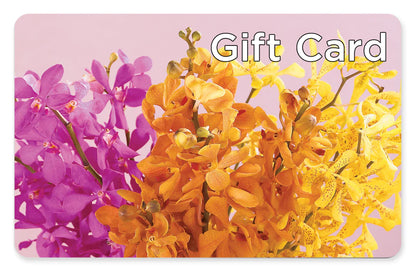 Gift Card –  More Than Flowers, Jackson MS