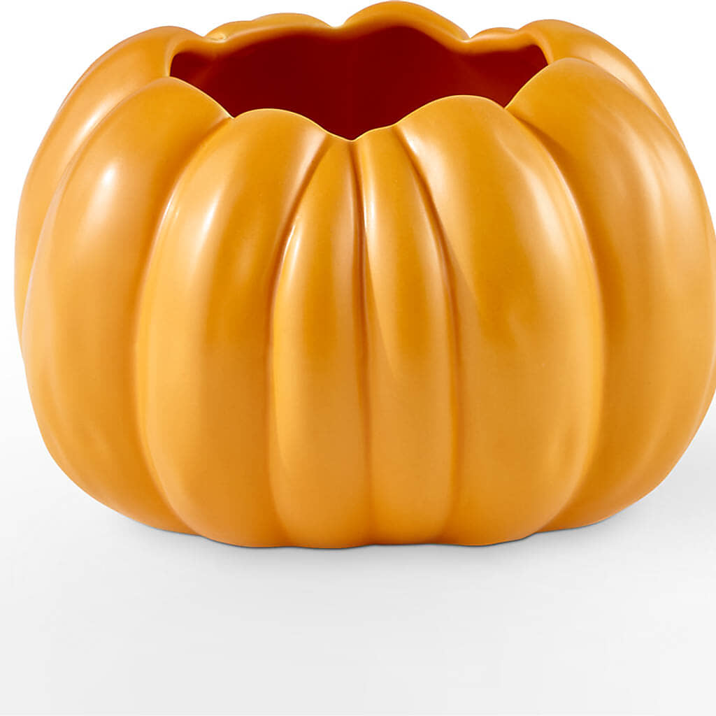 Golden Gourd Pumpkin Bouquet –  More Than Flowers, Jackson MS