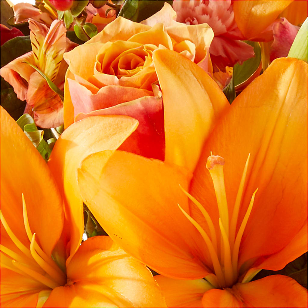 Afternoon Light Bouquet –  More Than Flowers, Jackson MS