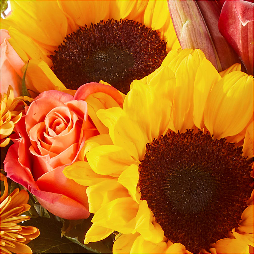 Acorn Lane Bouquet –  More Than Flowers, Jackson MS