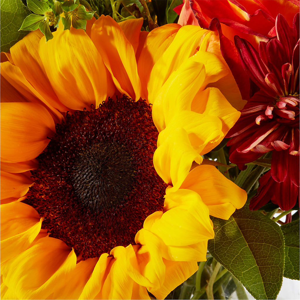 Harvest Festival Bouquet –  More Than Flowers, Jackson MS