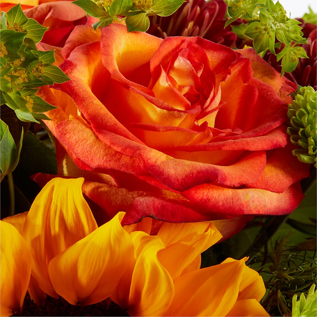 Harvest Festival Bouquet –  More Than Flowers, Jackson MS
