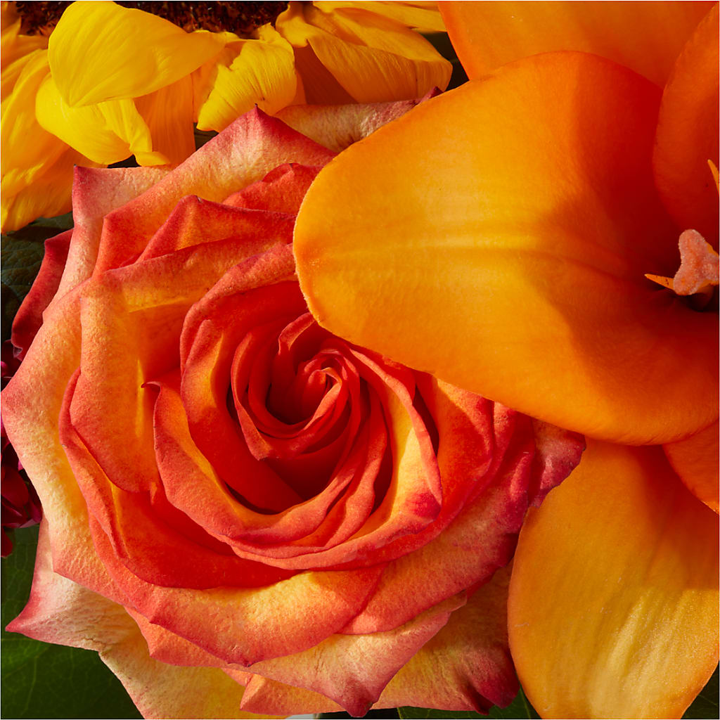 Grateful Centerpiece –  More Than Flowers, Jackson MS