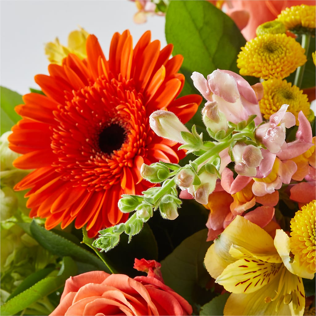 Autumn Sunshine Bouquet –  More Than Flowers, Jackson MS