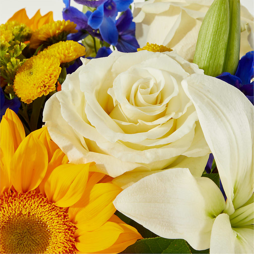 Stargazing Bouquet –  More Than Flowers, Jackson MS