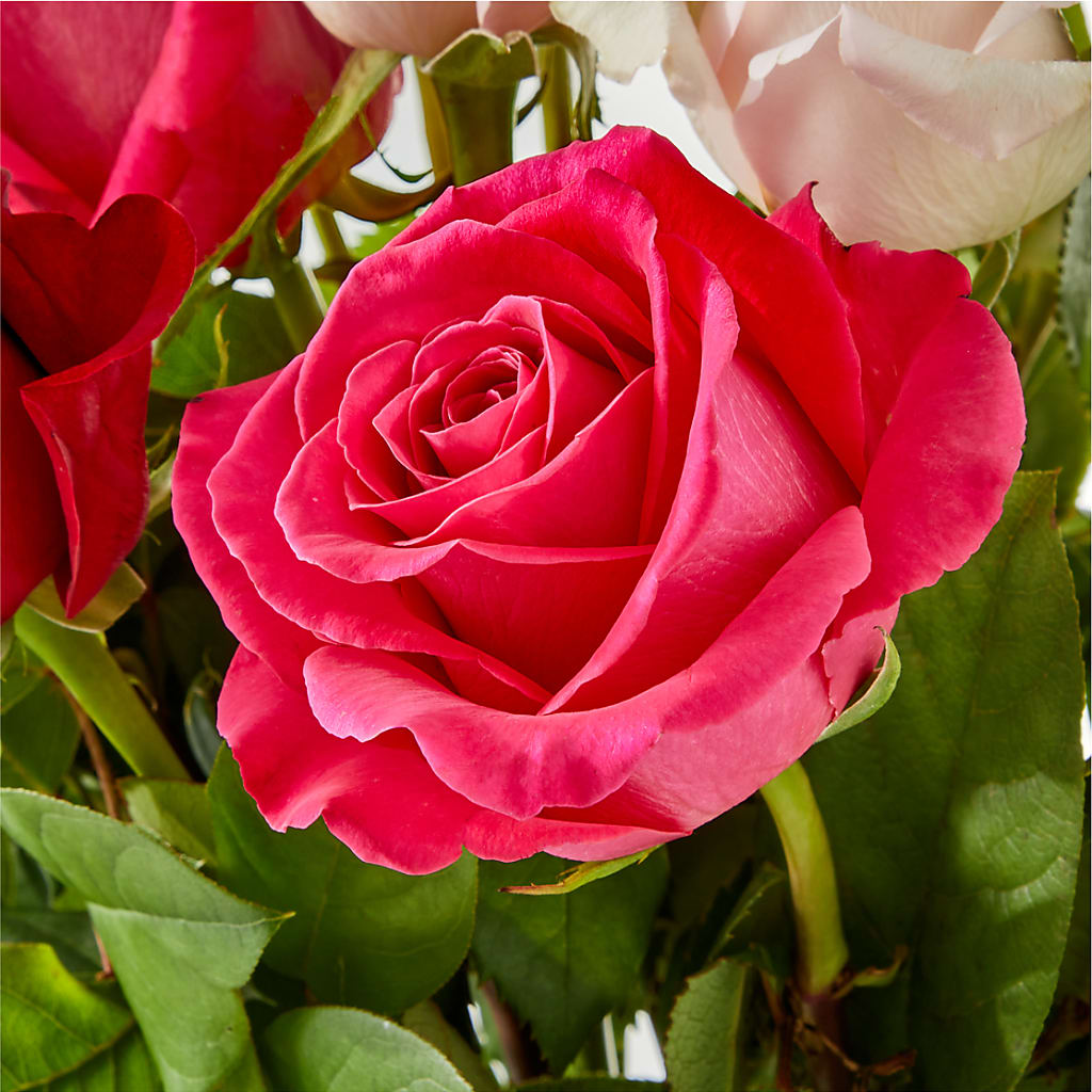 Charming Rose Bouquet –  More Than Flowers, Jackson MS