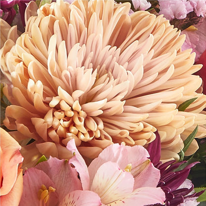Berry Cobbler Bouquet –  More Than Flowers, Jackson MS