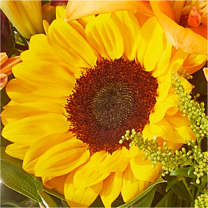 Seasons Change Bouquet –  More Than Flowers, Jackson MS