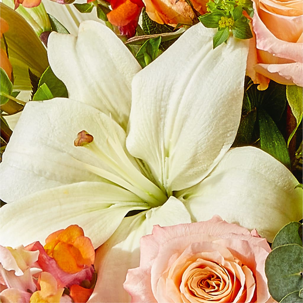Grapefruit Splash Bouquet –  More Than Flowers, Jackson MS