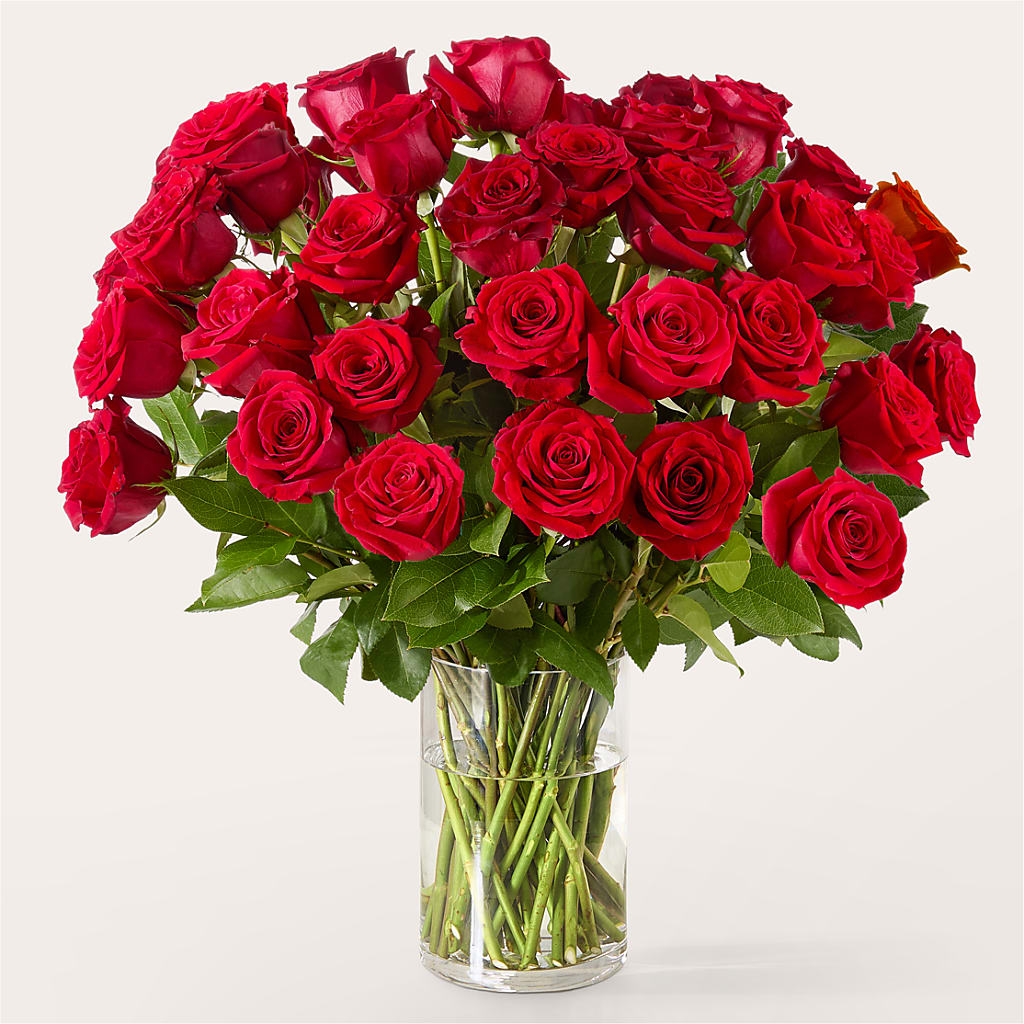 The One Red Rose Bouquet –  More Than Flowers, Jackson MS