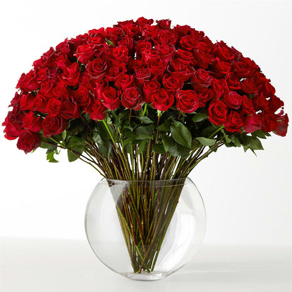 The Idealist –  More Than Flowers, Jackson MS