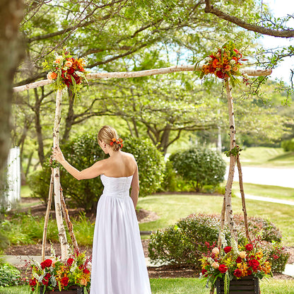 Arbor of Love Archway –  More Than Flowers, Jackson MS