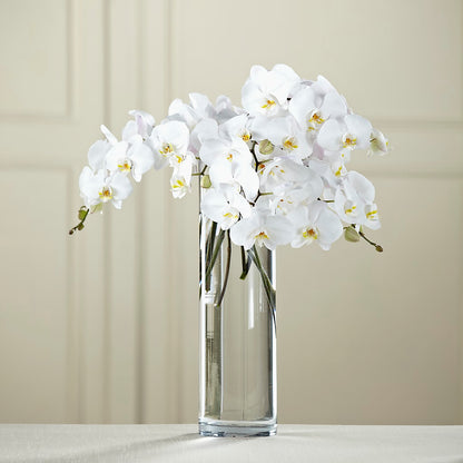 White Phalaenopsis Bouquet –  More Than Flowers, Jackson MS